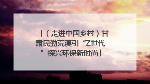 （走进中国乡村）甘肃民勤荒漠引“Z世代”探兴环保新时尚
