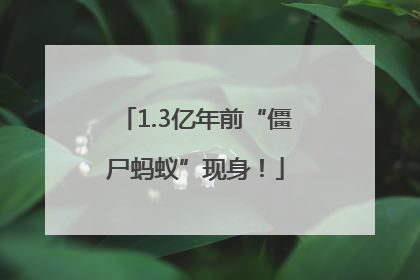 1.3亿年前“僵尸蚂蚁”现身！