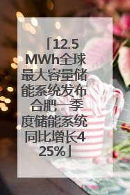 12.5MWh全球最大容量储能系统发布 合肥一季度储能系统同比增长425%