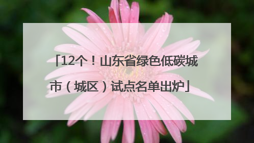 12个！山东省绿色低碳城市（城区）试点名单出炉