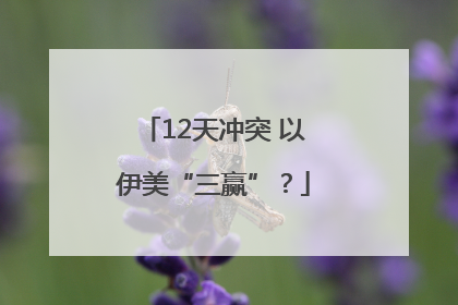 12天冲突 以伊美“三赢”？