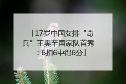 17岁中国女排“奇兵”王奥芊国家队首秀：6扣6中得6分