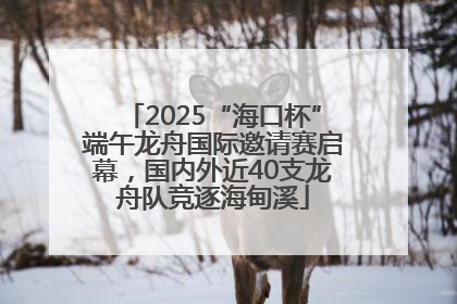 2025“海口杯”端午龙舟国际邀请赛启幕，国内外近40支龙舟队竞逐海甸溪