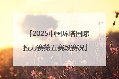 2025中国环塔国际拉力赛第五赛段赛况