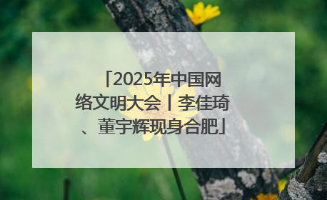 2025年中国网络文明大会丨李佳琦、董宇辉现身合肥