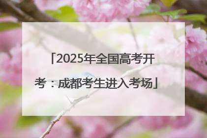 2025年全国高考开考：成都考生进入考场
