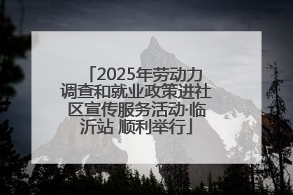 2025年劳动力调查和就业政策进社区宣传服务活动·临沂站 顺利举行