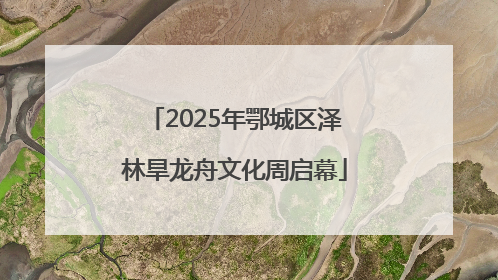 2025年鄂城区泽林旱龙舟文化周启幕
