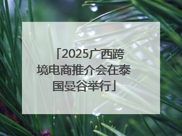 2025广西跨境电商推介会在泰国曼谷举行