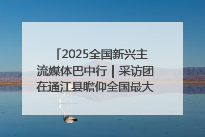 2025全国新兴主流媒体巴中行｜采访团在通江县瞻仰全国最大红军烈士陵园