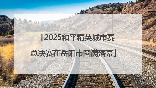 2025和平精英城市赛总决赛在岳阳市圆满落幕