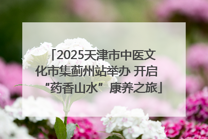 2025天津市中医文化市集蓟州站举办 开启“药香山水”康养之旅