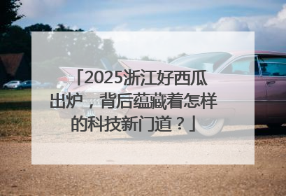 2025浙江好西瓜出炉，背后蕴藏着怎样的科技新门道？