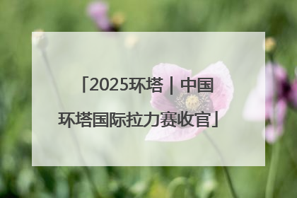2025环塔｜中国环塔国际拉力赛收官