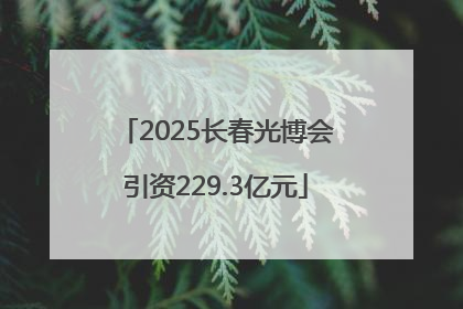 2025长春光博会引资229.3亿元