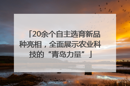 20余个自主选育新品种亮相，全面展示农业科技的“青岛力量”