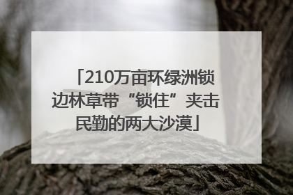 210万亩环绿洲锁边林草带“锁住”夹击民勤的两大沙漠