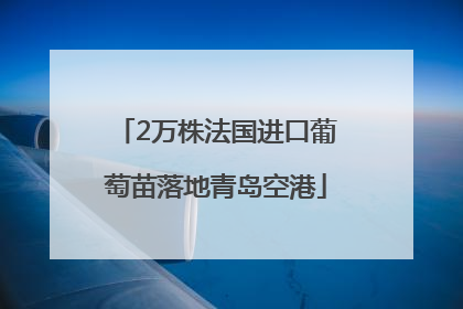 2万株法国进口葡萄苗落地青岛空港