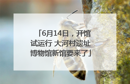 6月14日，开馆试运行 大河村遗址博物馆新馆要来了