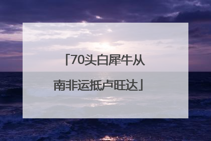 70头白犀牛从南非运抵卢旺达