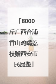 8000斤广西合浦香山鸡嘴荔枝赠西安市民品鉴