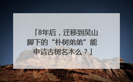 8年后，迁移到吴山脚下的“朴树弟弟”能申请古树名木么？