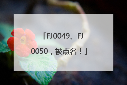 FJ0049、FJ0050，被点名！