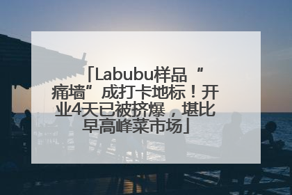 Labubu样品“痛墙”成打卡地标！开业4天已被挤爆，堪比早高峰菜市场